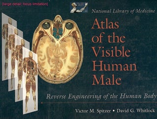 Item #2134 Atlas of the Visible Human Male; Reverse Engineering of the Human Body. Victor M....